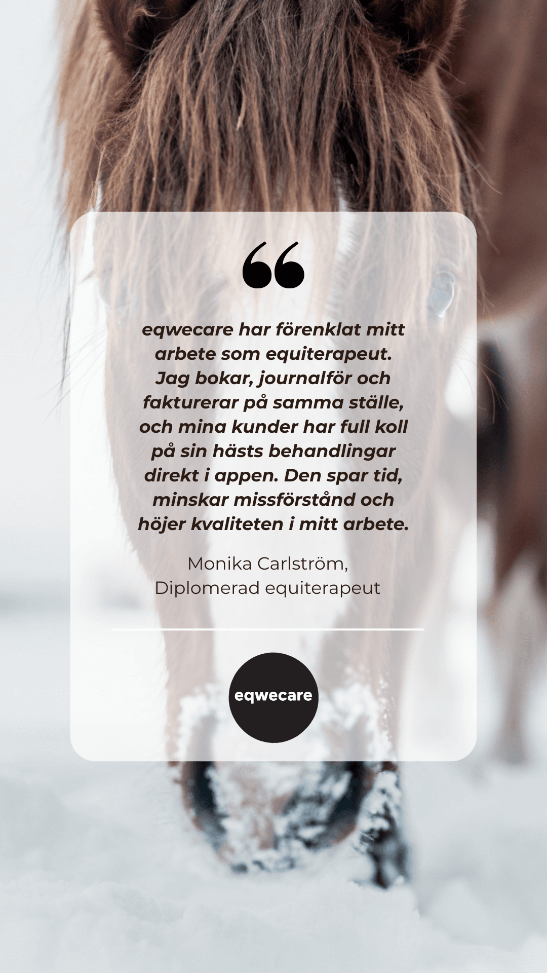 Citat från Monika Carlström, Diplomerad equiterapeut